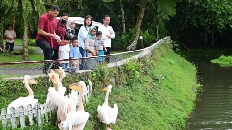 Akhir Pekan Bersama Keluarga, Presiden Jokowi Ajak Cucu Wisata Pengenalan Satwa