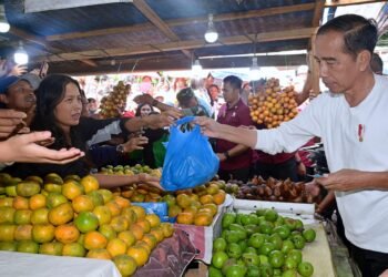 Momen Presiden Jokowi Belanja Buah dan Sayur di Pasar Buah Berastagi