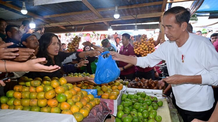 Momen Presiden Jokowi Belanja Buah dan Sayur di Pasar Buah Berastagi