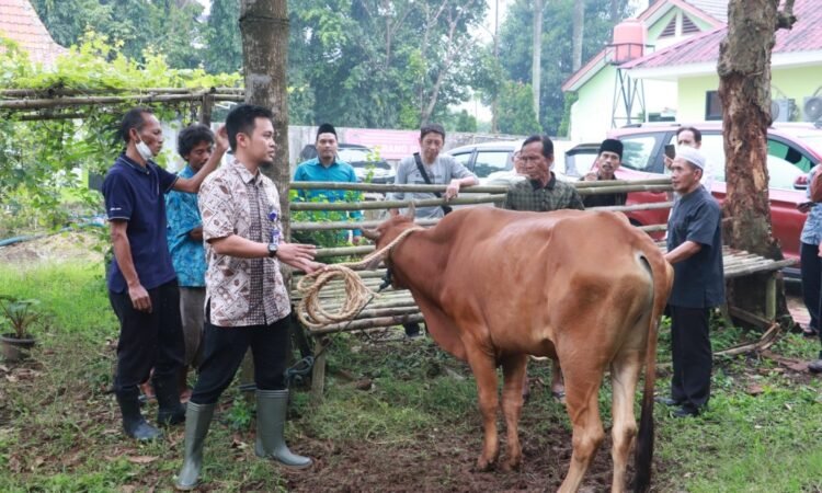Kebutuhan Hewan Kurban Diprediksi Naik, DPKP Kabupaten Tangerang Lakukan Pengawasan di 664 Titik