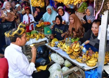 Kunjungi Pasar Laino Raha, Presiden Jokowi Disambut Lautan Masyarakat Muna