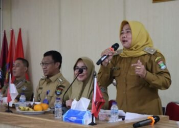 Lomba Desa Tingkat Kabupaten Tangerang, DPMPD Lakukan Verifikasi Lapangan di Desa Lembangsari