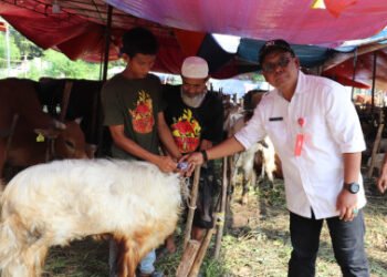 Pemkab Tangerang Layani Pemeriksaan Kesehatan Hewan Kurban
