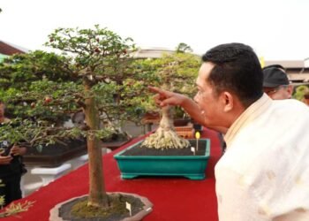 Pj Bupati Tangerang Minta Festival Bonsai Digelar secara Nasional