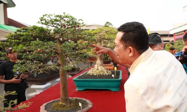 Pj Bupati Tangerang Minta Festival Bonsai Digelar secara Nasional
