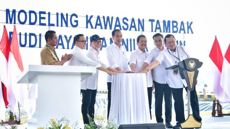 Presiden Jokowi Resmikan Model Kawasan Tambak Budi Daya Ikan Nila Salin di Karawang