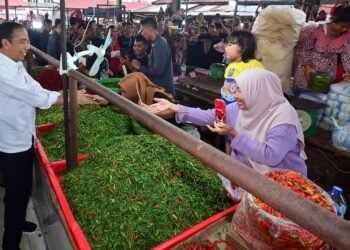 Presiden Jokowi Tinjau Harga Sembako di Pasar Bukit Sulap Lubuklinggau