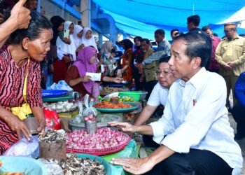 Presiden Jokowi Tinjau Stabilitas Harga di Pasar Lacaria Jelang Iduladha
