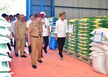 Presiden Jokowi Tinjau Stok Beras dan Bagikan Bantuan Pangan di Muna