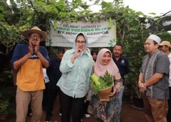 Airin: Kita Optimalkan Taman Terbuka Hijau di Permukiman