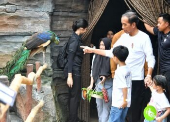 Akhir Pekan, Presiden Jokowi Ajak Cucu Kunjungi Solo Safari