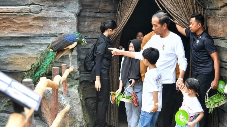 Akhir Pekan, Presiden Jokowi Ajak Cucu Kunjungi Solo Safari