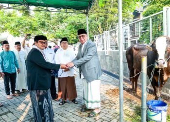 Iduladha 1445 H, Benyamin: Pemkot Tangsel Distribusikan 46 Sapi dan 48 Kambing