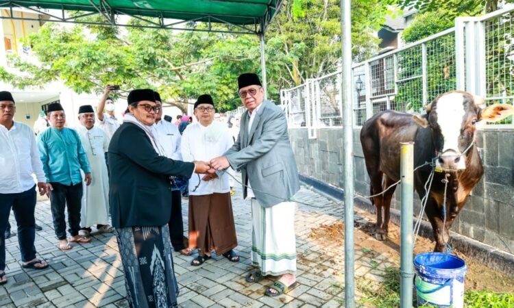 Iduladha 1445 H, Benyamin: Pemkot Tangsel Distribusikan 46 Sapi dan 48 Kambing