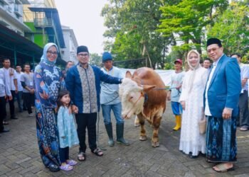 Iduladha 1445 Hijriah, Pilar Sembelih Langsung Hewan Kurban