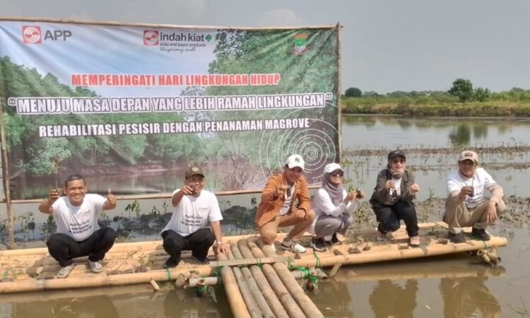 Peringati Hari Lingkungan Hidup Sedunia, Indah Kiat Tangerang Tanam 10 Ribu Bibit Mangrove di Urban Aquaculture Ketapang