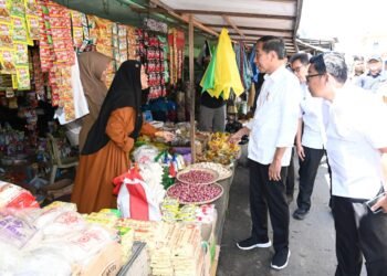 Presiden Jokowi Cek Harga Bahan Pokok di Pasar Beringin Buntok