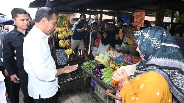 Presiden Jokowi Cek Harga di Pasar Pata Katingan