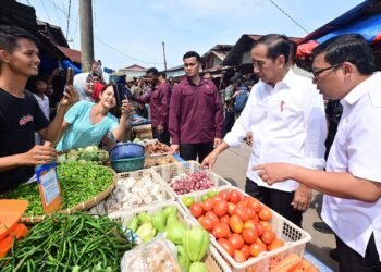 Presiden Jokowi Tinjau Pasar Senggol Dumai, Pastikan Stabilitas Harga Sembako