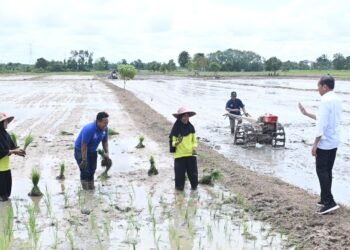 Respons Potensi Kekeringan Panjang, Presiden Tinjau Pompanisasi di Kotawaringin Timur