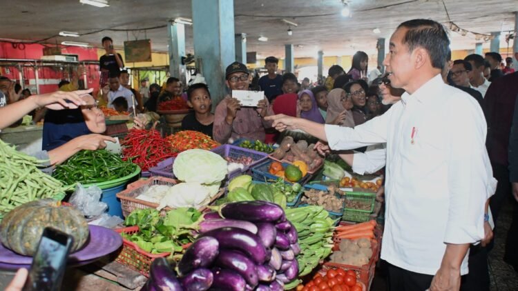 Tinjau Pasar di Kotawaringin Timur, Presiden Jokowi Pastikan Harga Baik dan Stabil