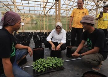 Airin Rachmi Diany Apresiasi Petani Milenial Saung Abah Farm