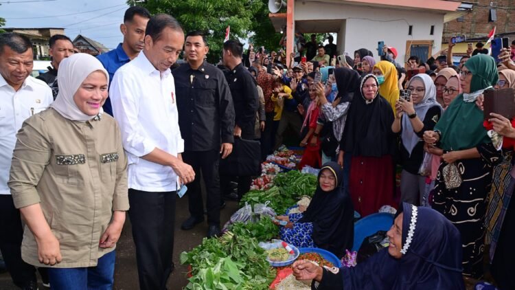 Hari Kedua di Sulsel, Presiden dan Ibu Iriana Kunjungi Pasar Cekkeng Bulukumba