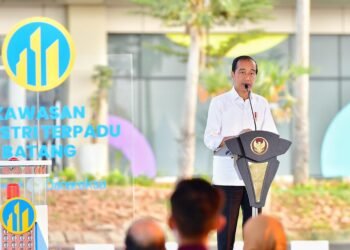 Presiden Jokowi Resmikan Operasional Kawasan Industri Terpadu Batang