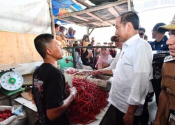 Presiden Jokowi Tinjau Pasar Kota Agung, Cek Harga dan Berikan Bantuan Modal Kerja