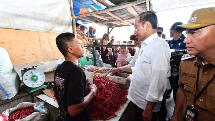 Presiden Jokowi Tinjau Pasar Kota Agung, Cek Harga dan Berikan Bantuan Modal Kerja
