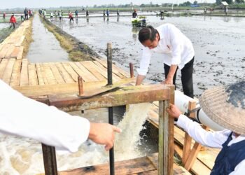 Presiden Jokowi Tinjau Pompanisasi di Lampung Selatan, Dorong Produktivitas Pertanian