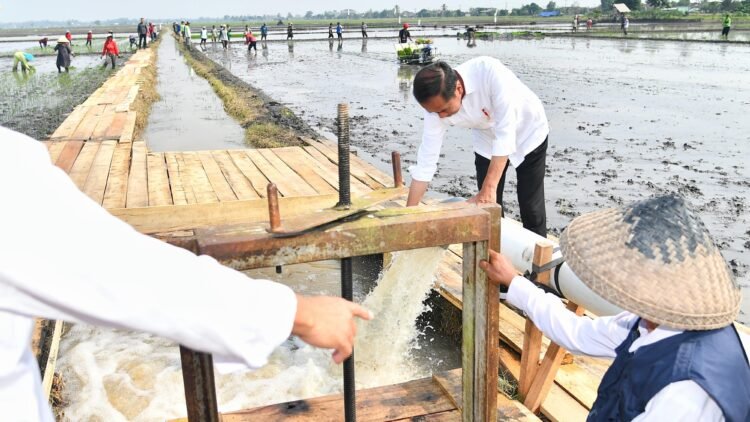 Presiden Jokowi Tinjau Pompanisasi di Lampung Selatan, Dorong Produktivitas Pertanian