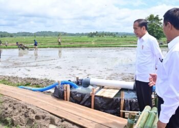Presiden Jokowi dan Ibu Iriana Tinjau Pelaksanaan Bantuan Pompa Irigasi di Sulawesi Selatan