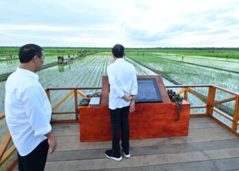 Presiden Jokowi dan Ibu Iriana Tinjau Simulasi Drone Tabur Pupuk di Papua Selatan