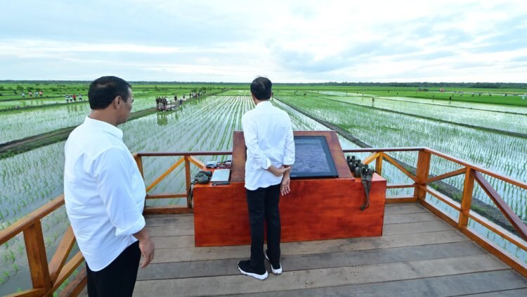 Presiden Jokowi dan Ibu Iriana Tinjau Simulasi Drone Tabur Pupuk di Papua Selatan