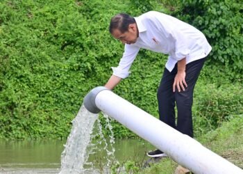 Tinjau Pompanisasi di Bantaeng, Presiden: Tingkatkan Produktivitas Pertanian dan Antisipasi Kekeringan