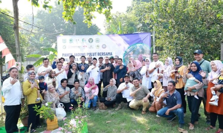 Panen Jagung Pulut di Ciputat, Pilar: Ajang Edukasi Anak-anak Tentang Pertanian