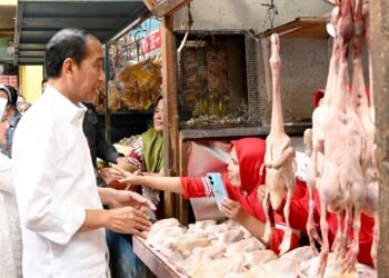 Kunjungi Pasar Soponyono di Surabaya, Presiden Jokowi: Inflasi Pangan Terkendali dengan Baik