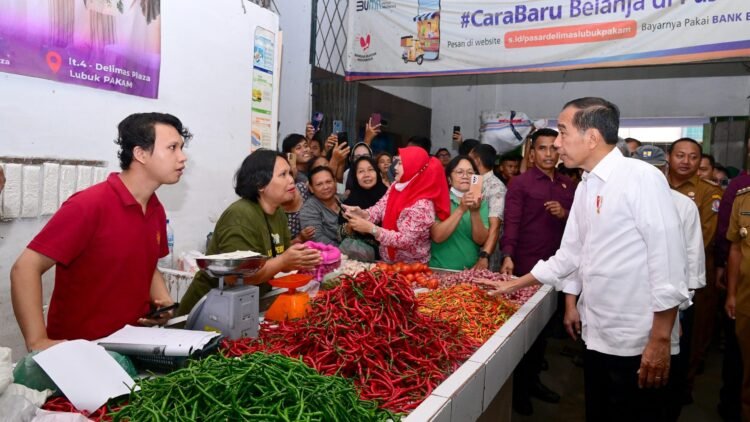 Presiden Jokowi Tinjau Stabilitas Harga di Delimas Pasar Raya Lubuk Pakam