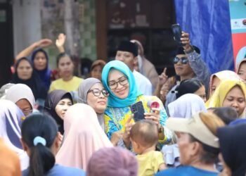 Airin Rachmi Diany-Ade Sumardi Dorong Transformasi Ekonomi Hijau