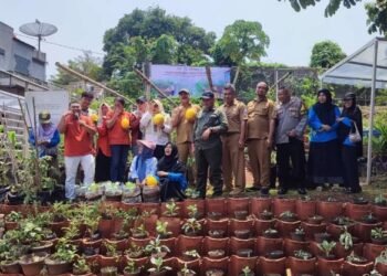 KWT Nerada Binaan Indah Kiat Tangerang Panen Golden Melon