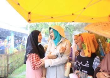 Airin-Ade Sumardi Dorong Kemandirian Desa