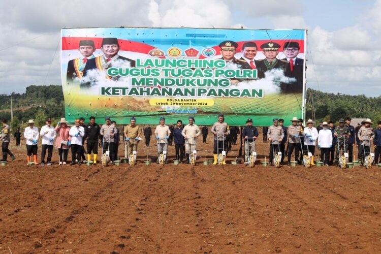 Gebrakan Progam Poliran Kapolda, Polda Banten Tanam Benih Jagung Sebanyak 64.875 Kg di Lahan Seluas 4.325 Ha