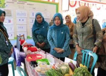 TP PKK Kabupaten Tangerang Terima Tim Studi Tiru Kelola Posyandu Pemkab Belitung Timur