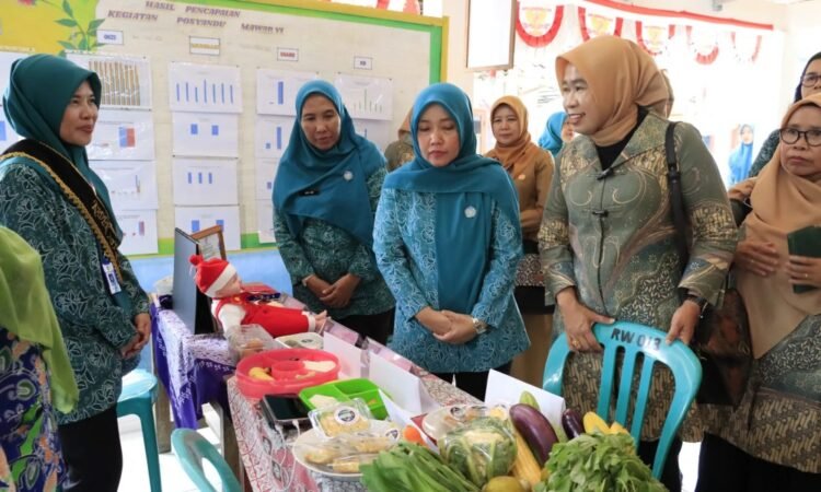 TP PKK Kabupaten Tangerang Terima Tim Studi Tiru Kelola Posyandu Pemkab Belitung Timur