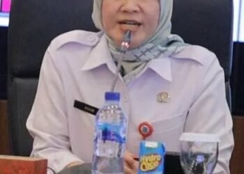Pemkot Tangsel Gencarkan Program Tablet Tambah Darah ke Remaja Putri, Ibu Hamil, dan Ibu Nifas