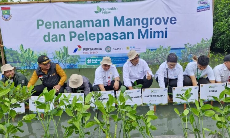 Pemkab Tangerang Tanam Mangrove dan Tebar Mimi di Ketapang Urban Aquaculture