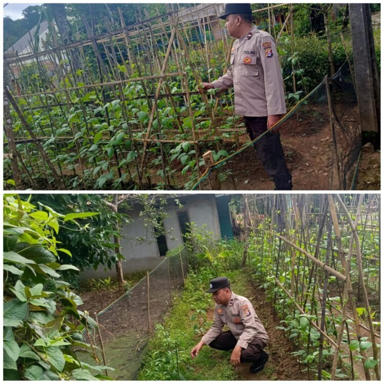 PENGECEKAN LAHAN KETAHANAN PANGAN DI WILAYAH HUKUM OLEH KAPOLSEK PANDEGLANG
