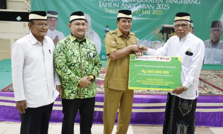 Pemkab Tangerang dan DMI Salurkan 30 Ekor Sapi Kurban untuk 29 Kecamatan
