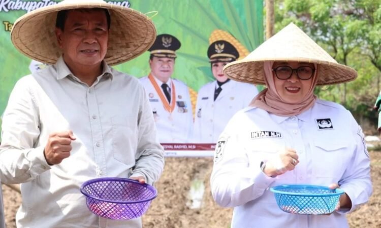 Pemkab Tangerang dan Polresta Lakukan Gerakan Tanam Jagung Hibrida dan Serahkan Bantuan Traktor